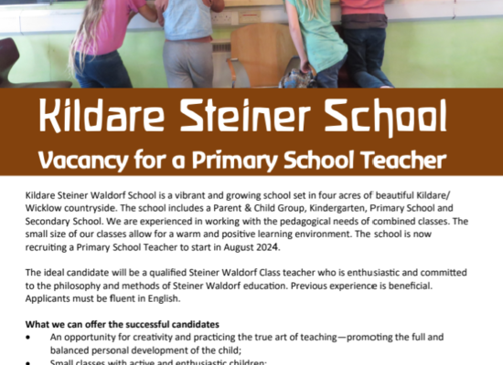 Vacancy Primary School teacher